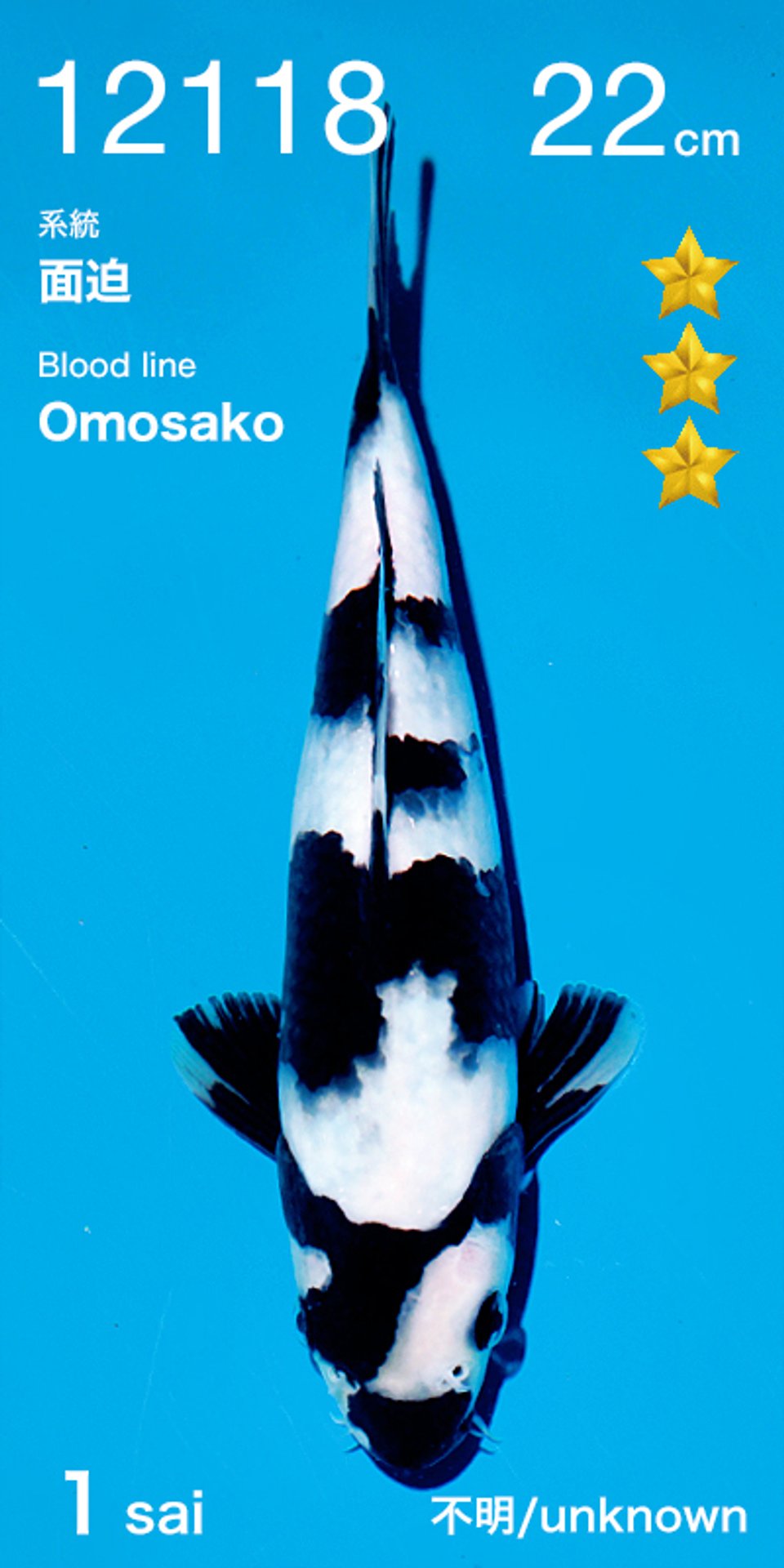 Adolat Ligasi porno video